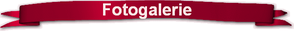 Fotogalerie