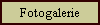 Fotogalerie